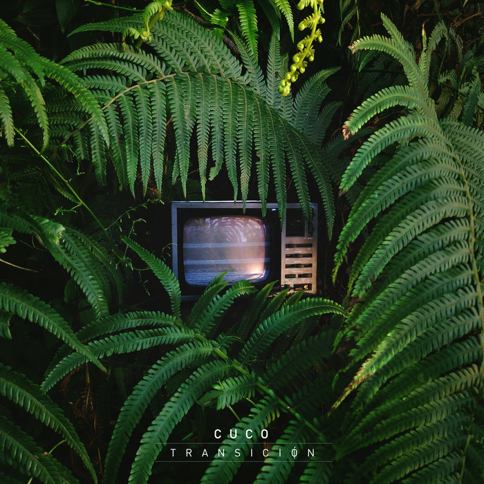 Cuco Transition